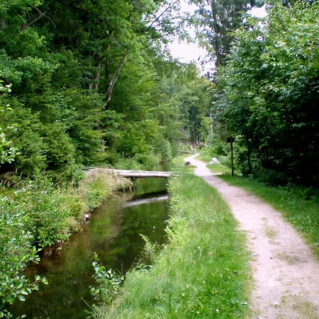 Gammerhof - Bauernhofurlaub In Διαμέρισμα Waldkirchen