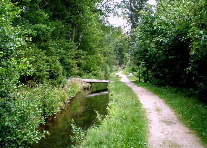 Gammerhof - Bauernhofurlaub In 公寓 瓦尔德基兴
